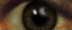 /user/face2_eyeright.jpg