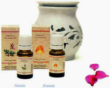 Aroma3.jpg (10354 bytes)