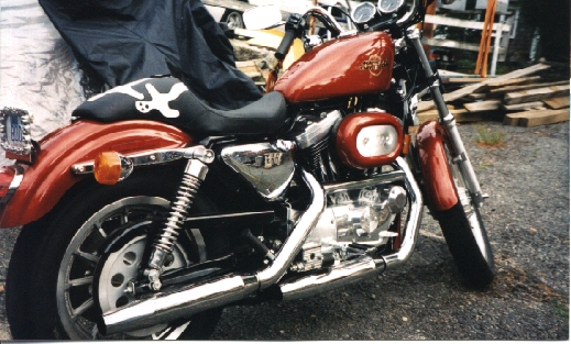 My XL1200 Harley