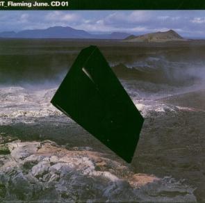Image of flamingjune.jpg