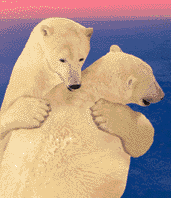 bear hug