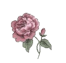 tinyrosie