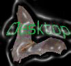 A bat flew in my room, here's the scoop!