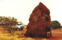termite_small.jpg (2212 bytes)