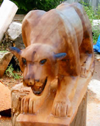 Red Cedar Cougar