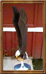 Painted Eagle