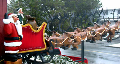 8 Red Cedar Reindeer and Santa