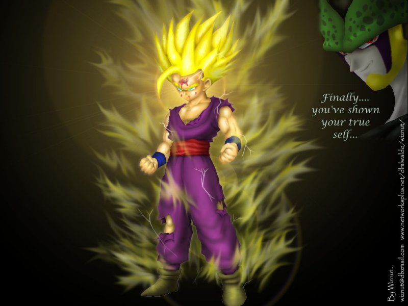 Super Saiyan Rage. Super Saiyan 2 Gohan vs.