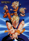 Kame.gif (277818 bytes)