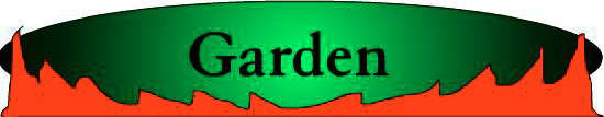 What's in his garden then?