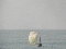 one of the fishing boats