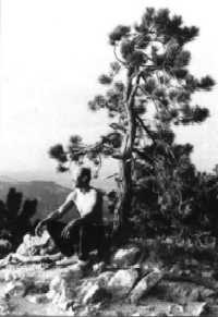 go6.jpg (8431 bytes)