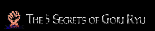 The 5 Secrets of Goju Ryu