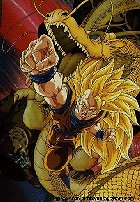 Dbz13.jpg (16960 bytes)