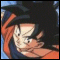 dbz044.gif (3902 bytes)
