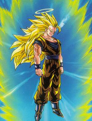 goku94.jpg (21171 bytes)