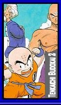 sagabudokai2.JPG (12222 bytes)