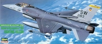Hasegawa ???