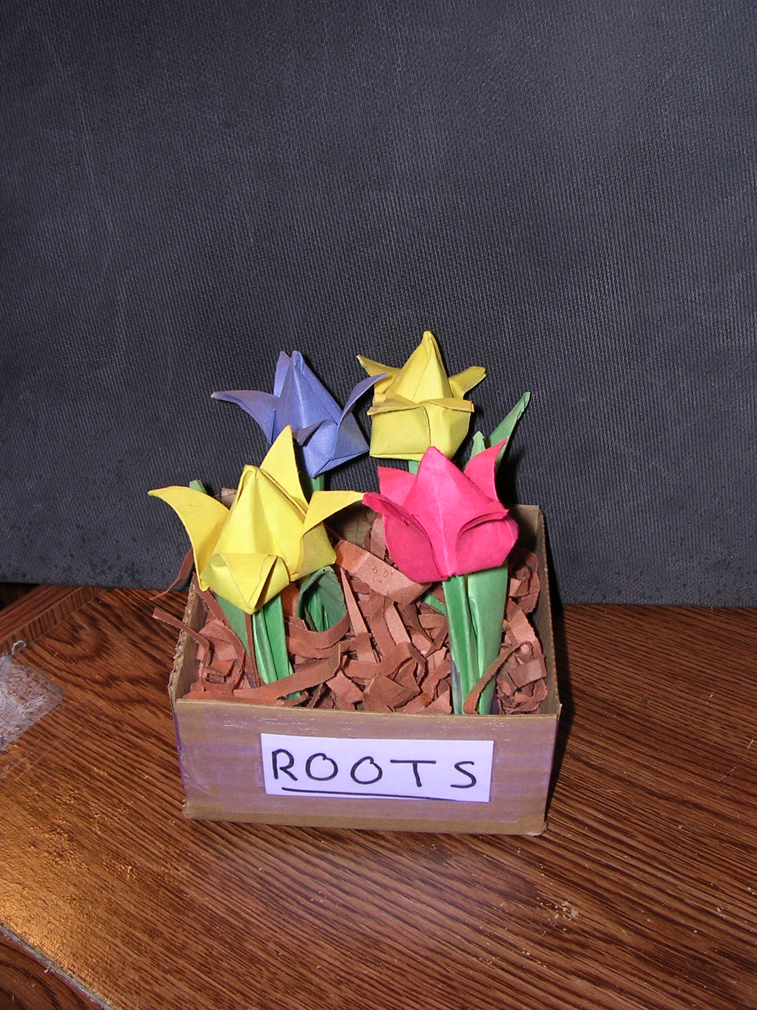 My Awesome Math Project 