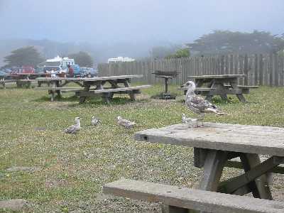 Lunch time