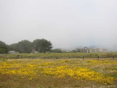 ranch
