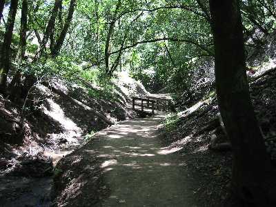 Bridge