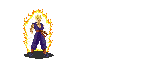 Image of dbz17.gif