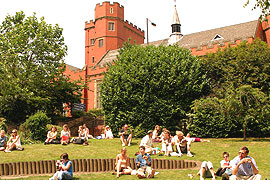 University of Sheffield