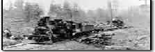 Early Logging Train