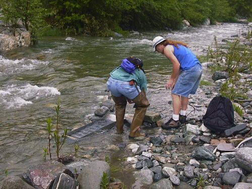 Gene and John adjusting the water flow into the sluice.