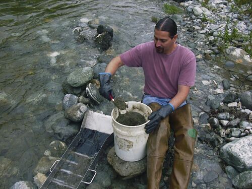 Gene is finding some nice GOLD in this bucket!