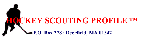 header3.gif (1813 bytes)