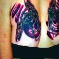 Cover-up Closeup