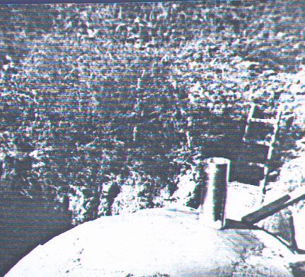 ferro-cement shell