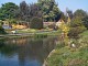 lake.jpg