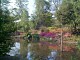 pond2.jpg