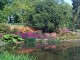 pond3.jpg