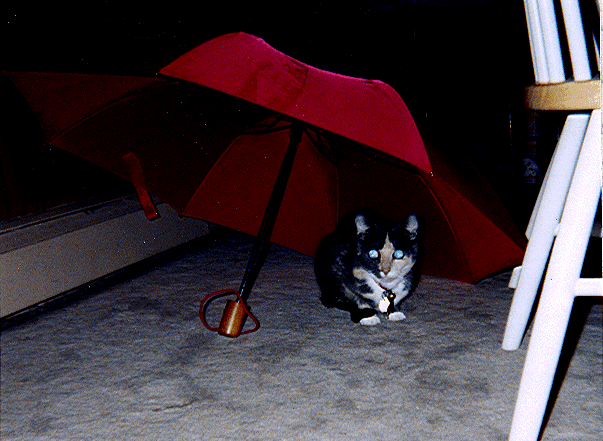 Chessie