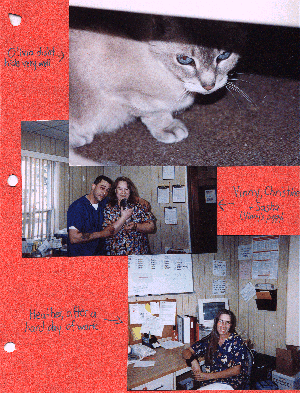 Olivia; Vinny, Christine + Sasha; Heather