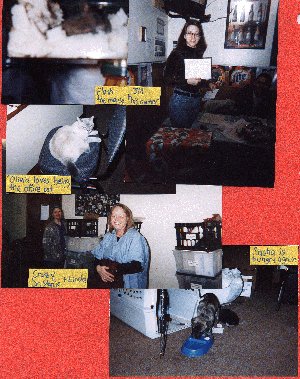 Flash; Olivia; Jill; Dr. Stanik + Linda; Sasha