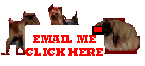 Yorkies Email  � 1998 Cher Hildebrand