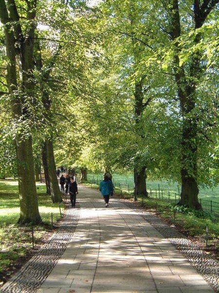 ����ǰ|��|�L�|
The alley in the backyard of King's College