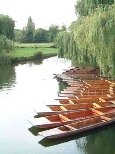 ���b�d�e�W����� 
Punts on the River Cam