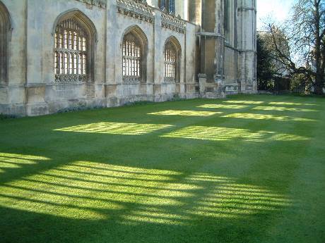 �ʩ礣�����D�D