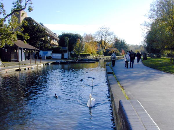 ���s���e���d�e���� 
River Cam outside the Garden House Hotel