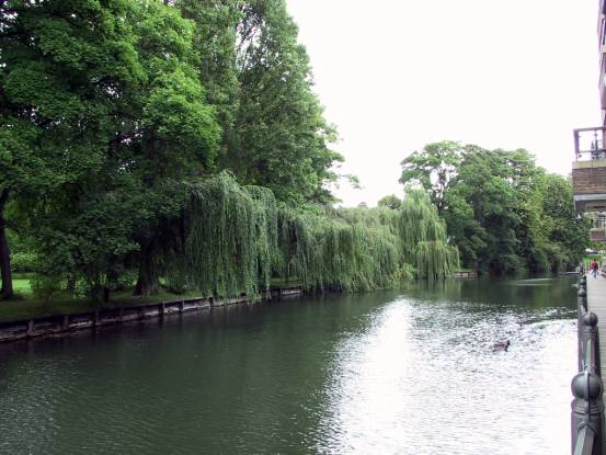 �d�e
River Cam