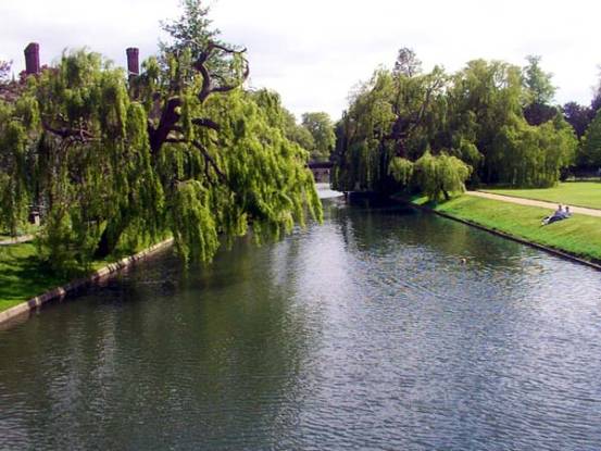 �d �e
River Cam