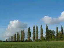 ���}�F�ݽ�