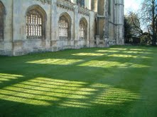 �ʩ礣�����D�D