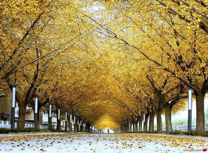 �j�۵M������
Miracle of Nature 